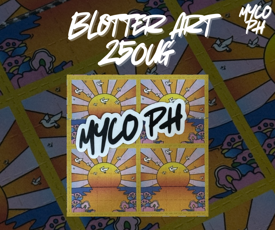 SUNSHINE BLOTTER ART🖼️